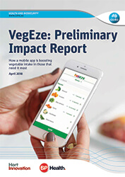 front page of the VegEze: preliminary impact report
