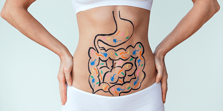 Woman's stomach area with a model of the digestive system drawn on the skin