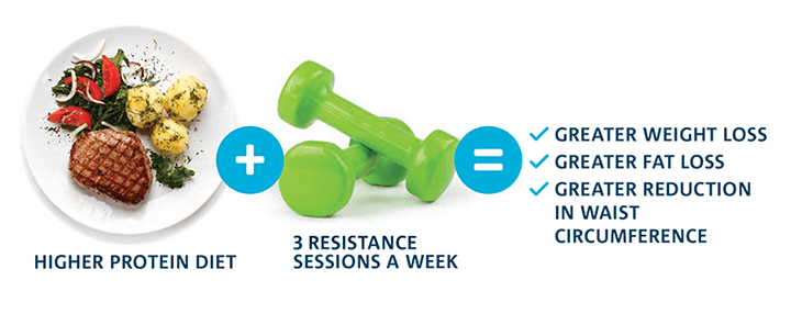 graphic showing how the relationship between higher protein diets and resistance training leads to greater weight loss, greater fat loss and greater reduction in waist circumference