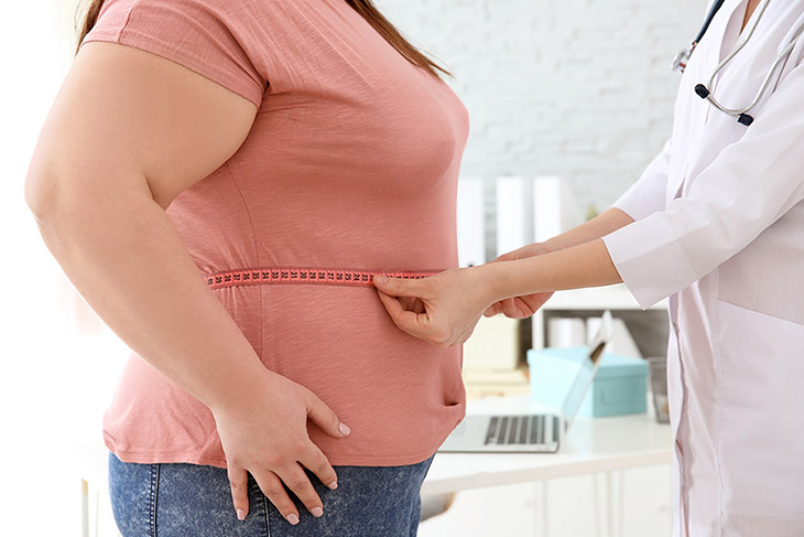 Obesity and the immune system
