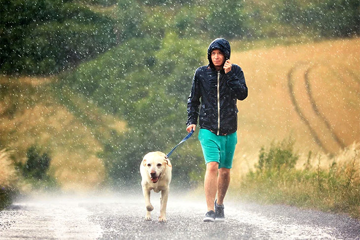 Exercise supporting the immune system